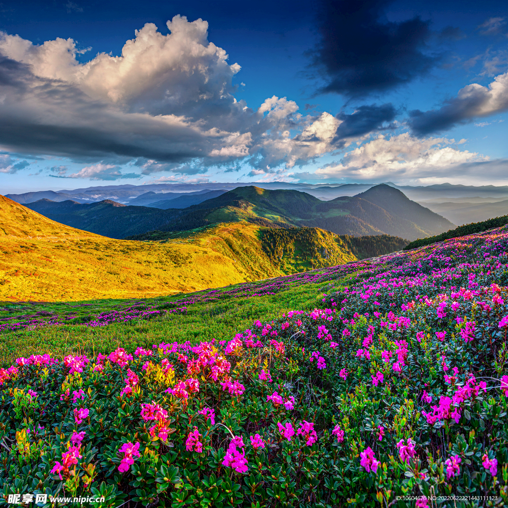 山水风景 