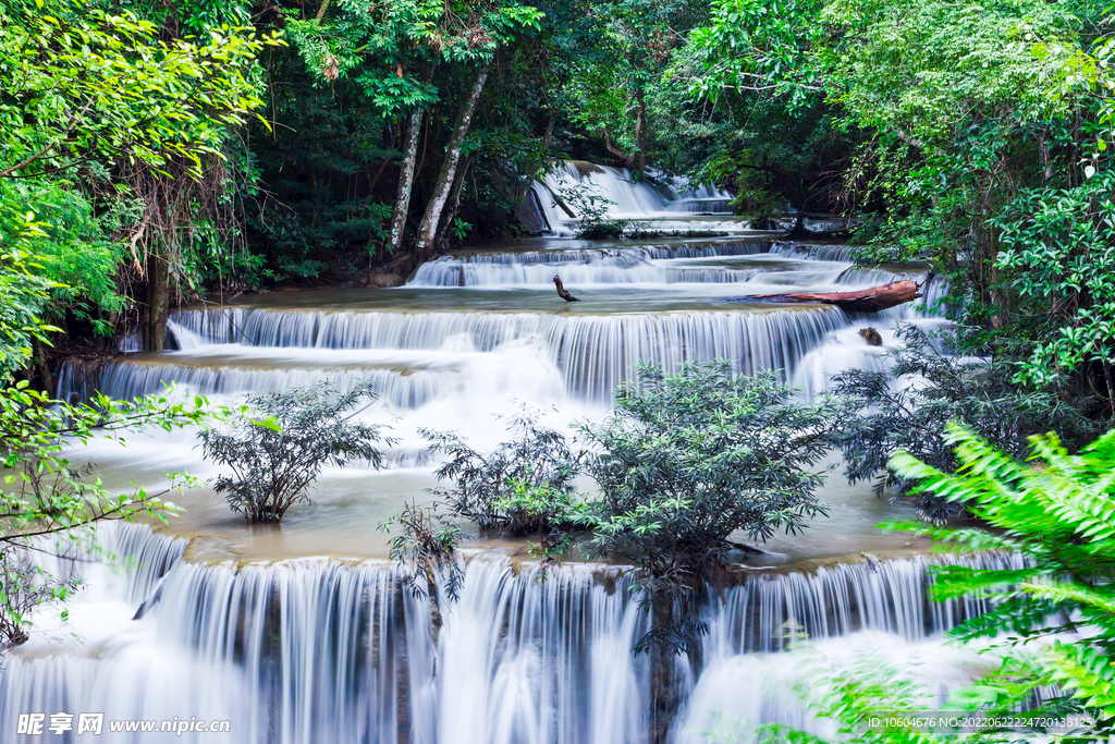 瀑布 溪水 流水 森林 小溪 