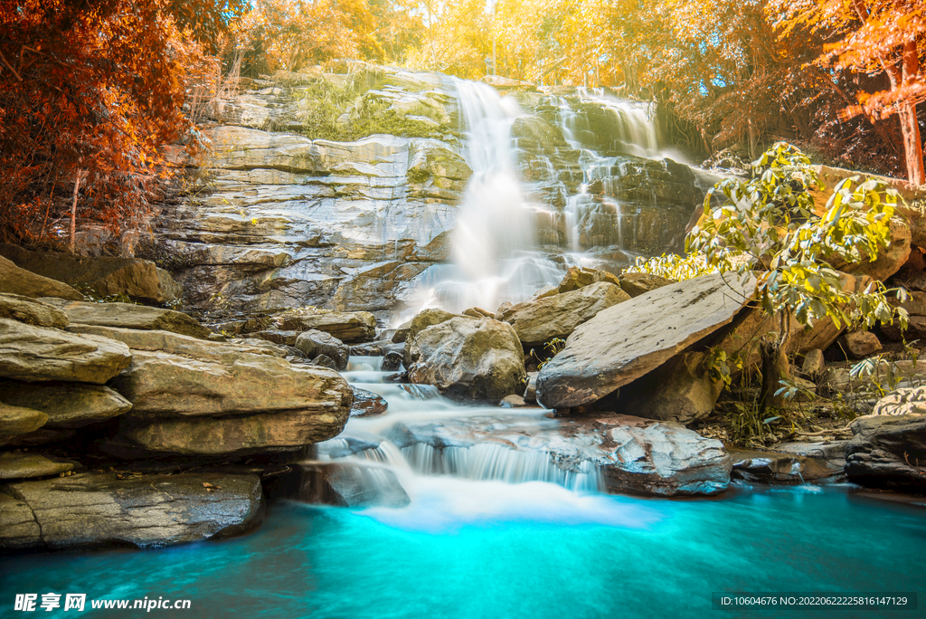 瀑布 溪水 流水 森林 小溪 