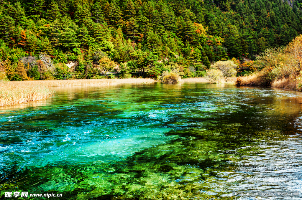 瀑布 溪水 流水 森林 小溪 