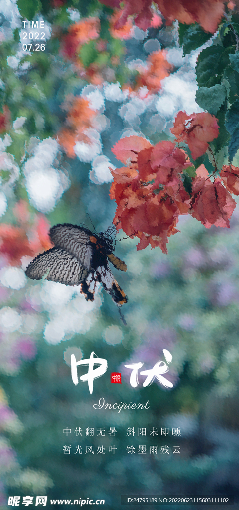 中伏
