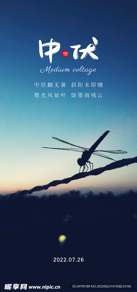 中伏