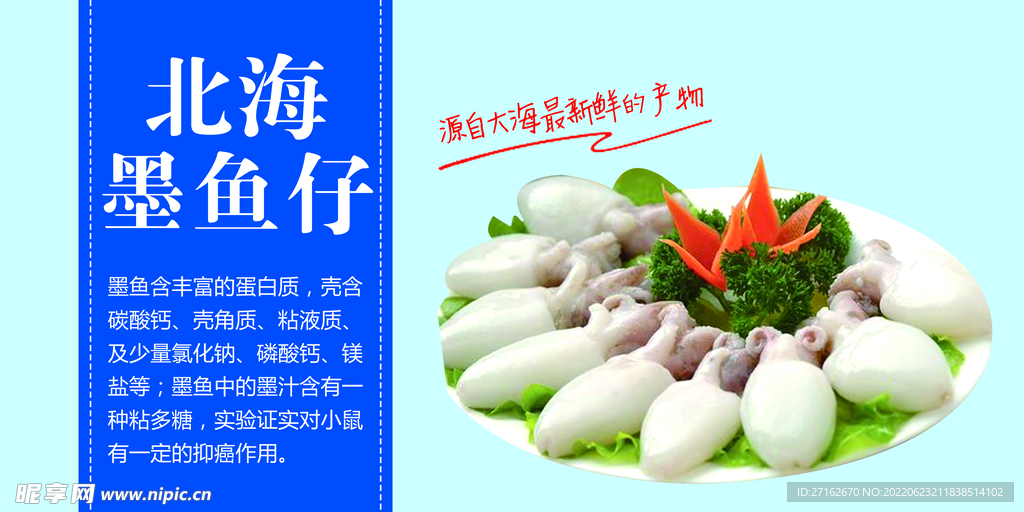 北海墨鱼仔
