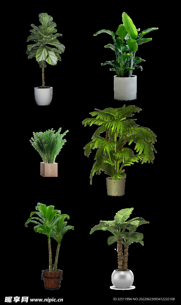 后期植物素材
