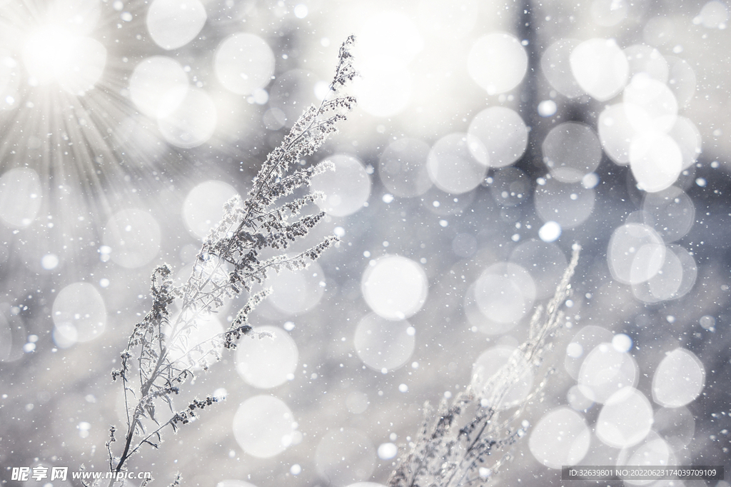 雪