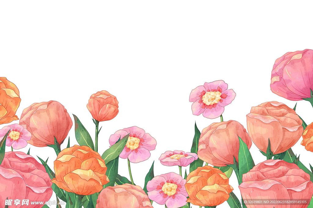 花朵水彩插画 