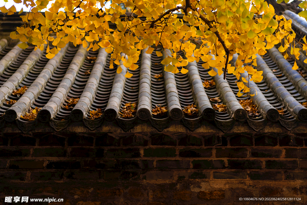古建筑寺庙 