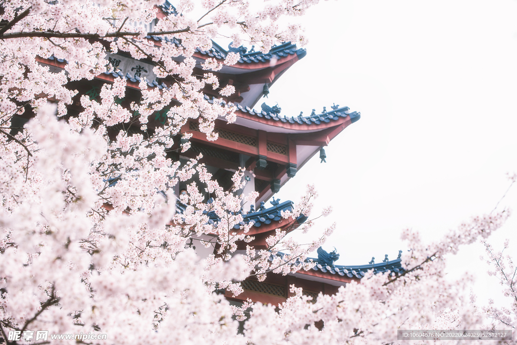 古建筑寺庙 