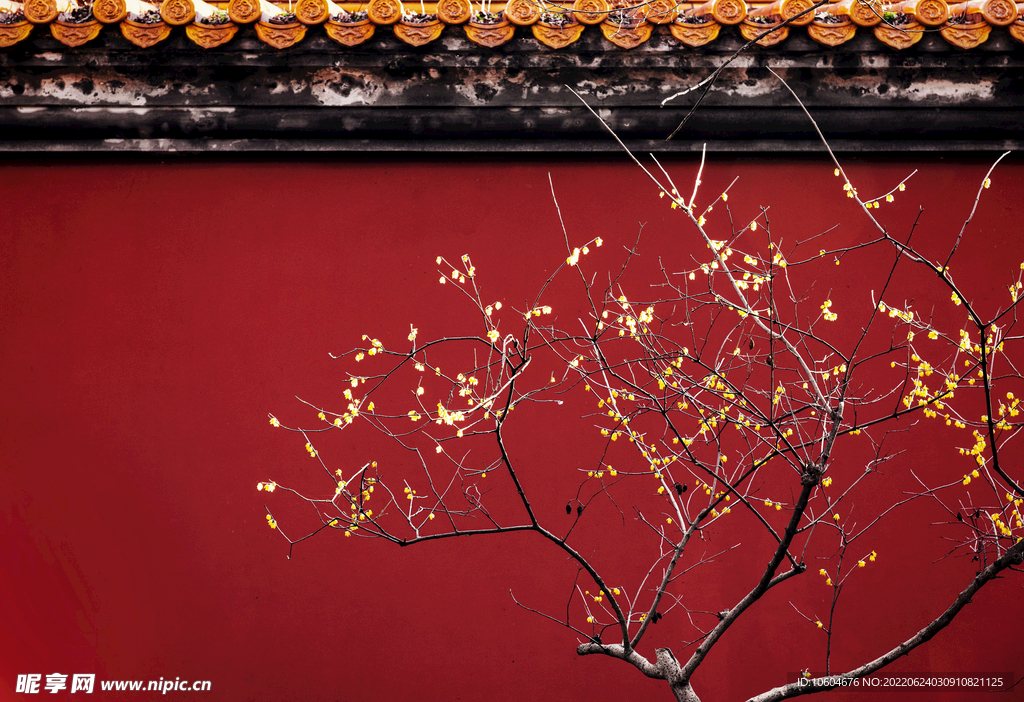 古建筑寺庙 