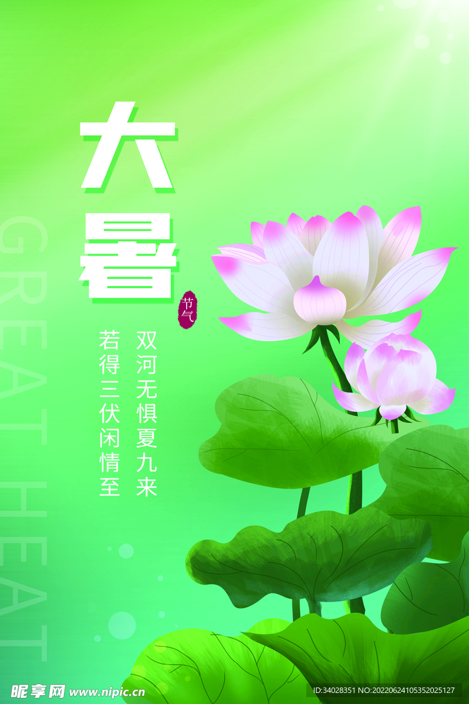 大暑海报