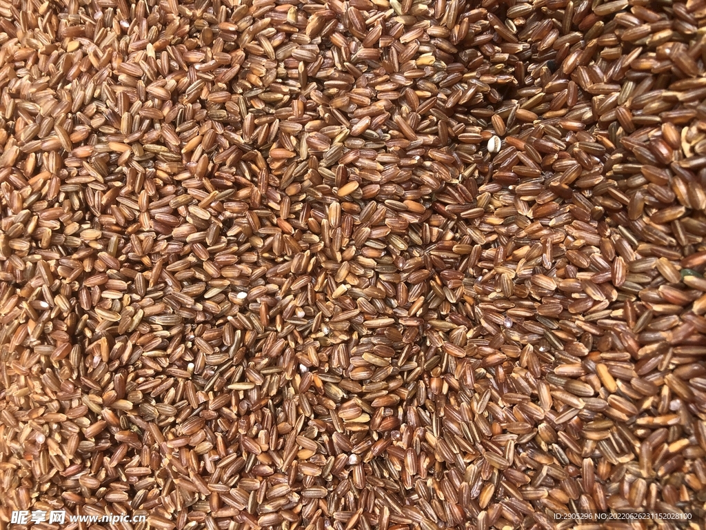 红米图片