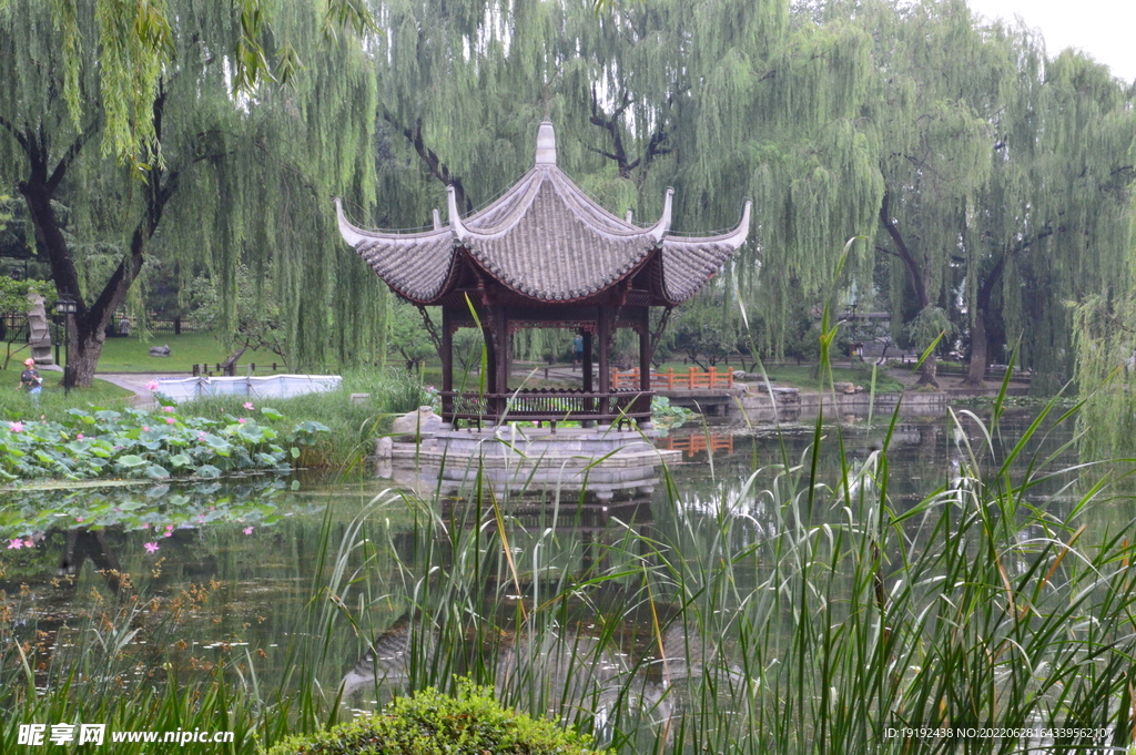 凉亭风景 