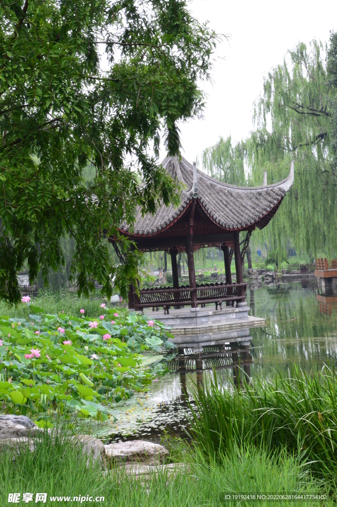 公园风景 