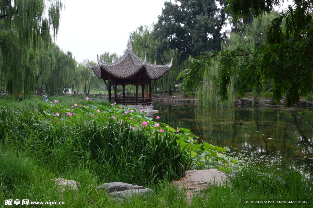 公园风景