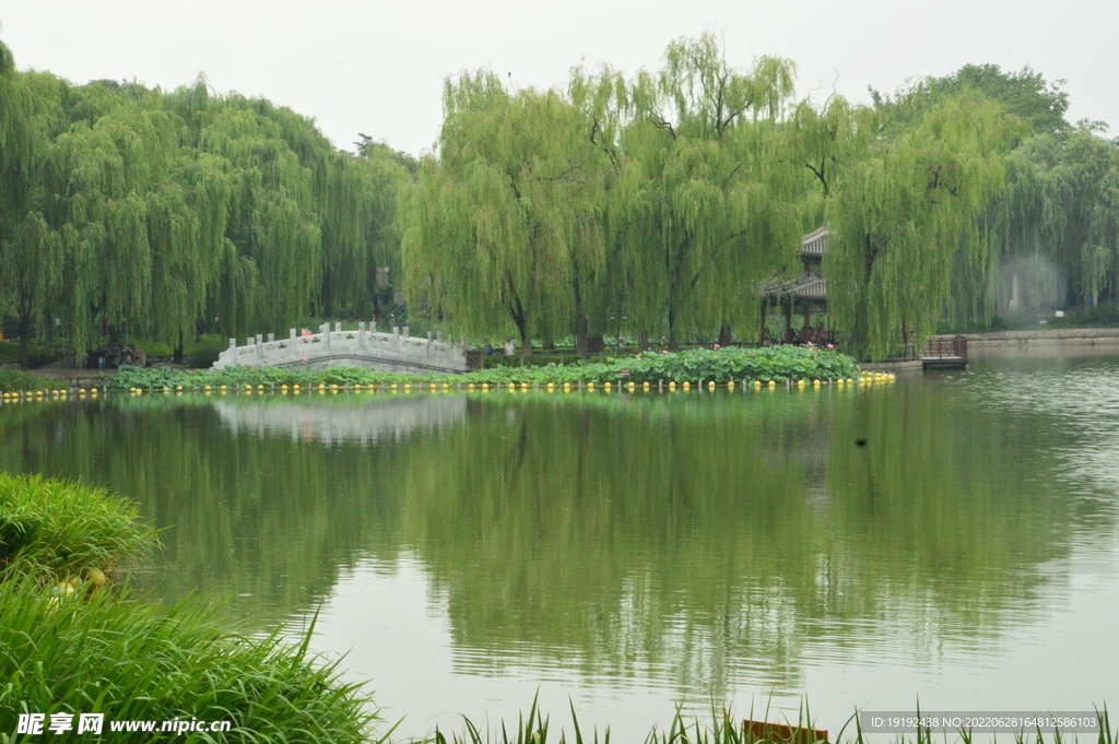公园风景