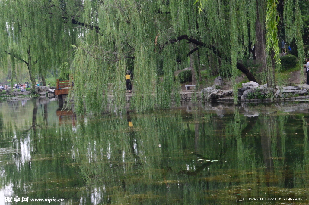 公园风景 