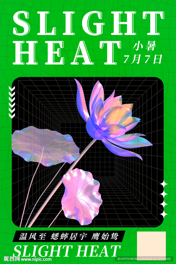 小暑酸性荷花绿色海报