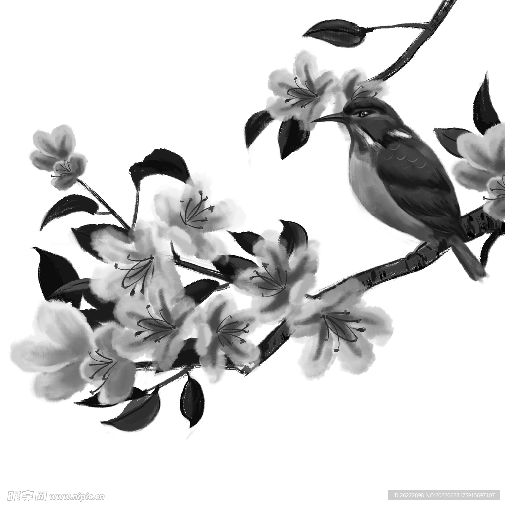 花鸟 剪影图 牡丹花 玫瑰花 