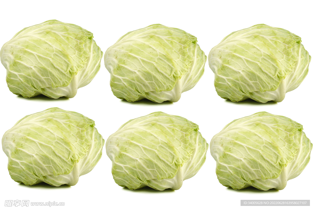 白菜