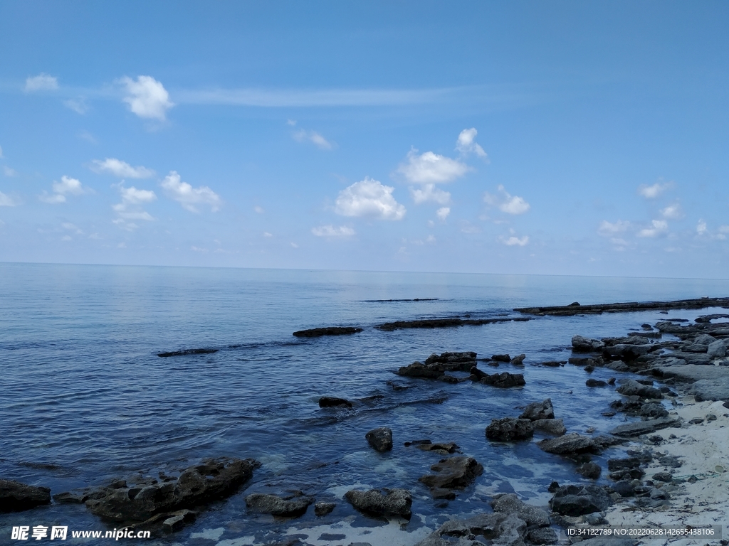 大海