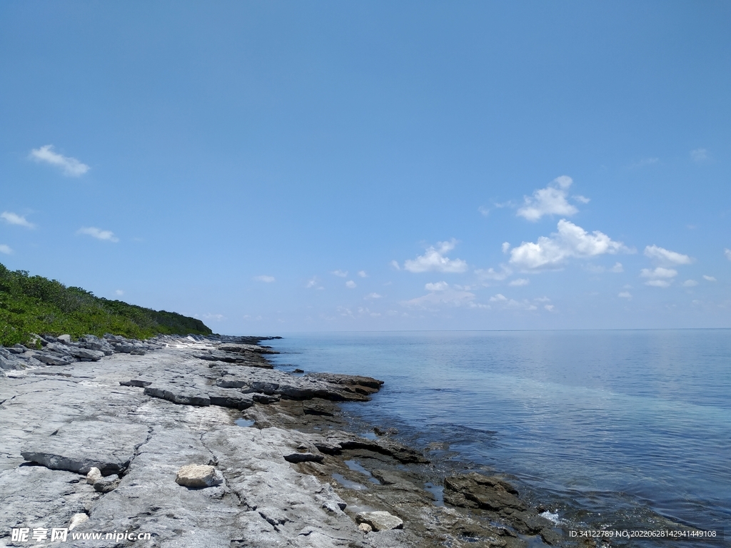 大海