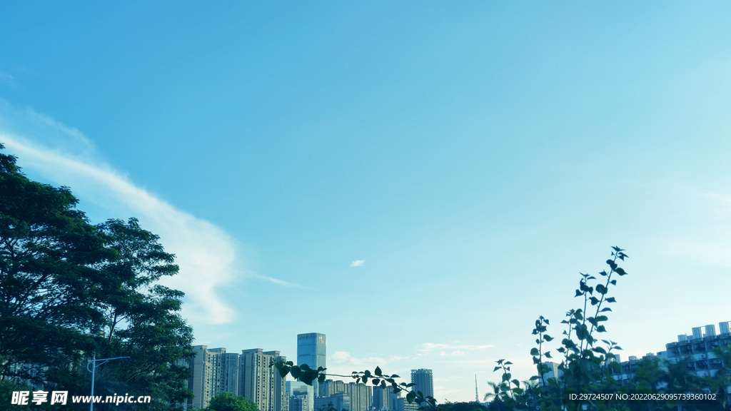 夏日阳光