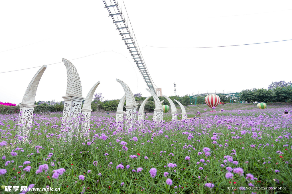 薰衣草花园