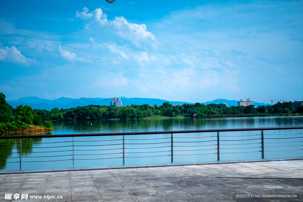 园林景观 湖水 公园一角 