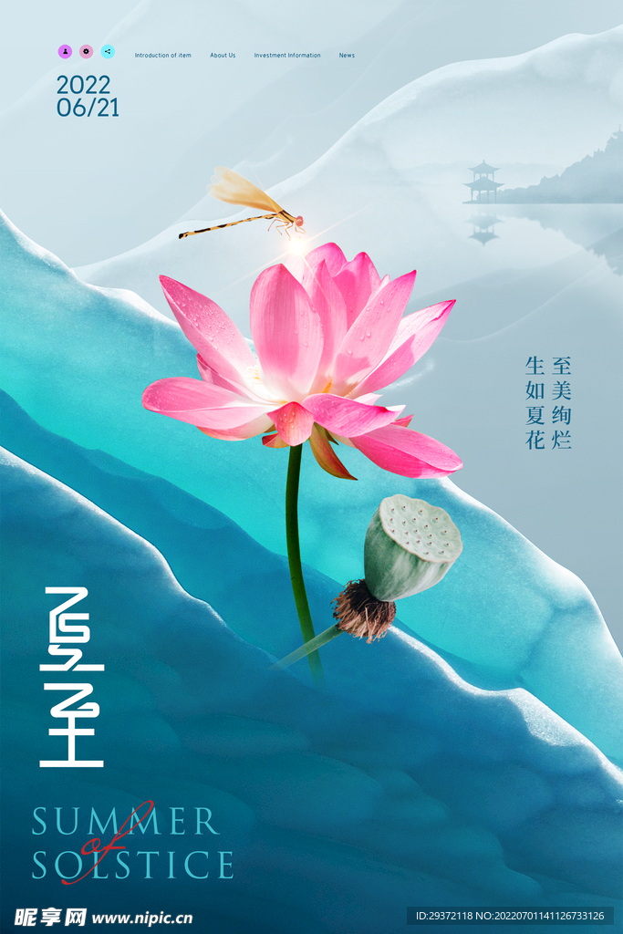唯美简约荷花夏至节气海报