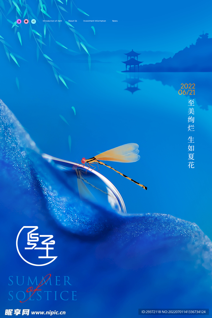 唯美简约蓝色荷叶夏至节气海报