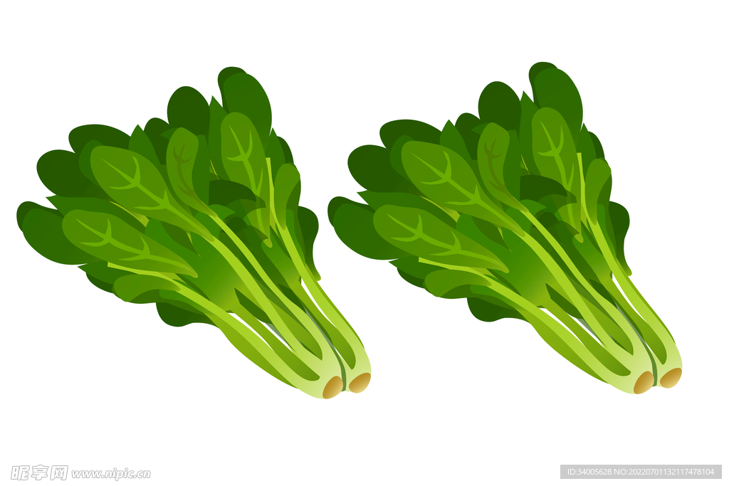 菠菜