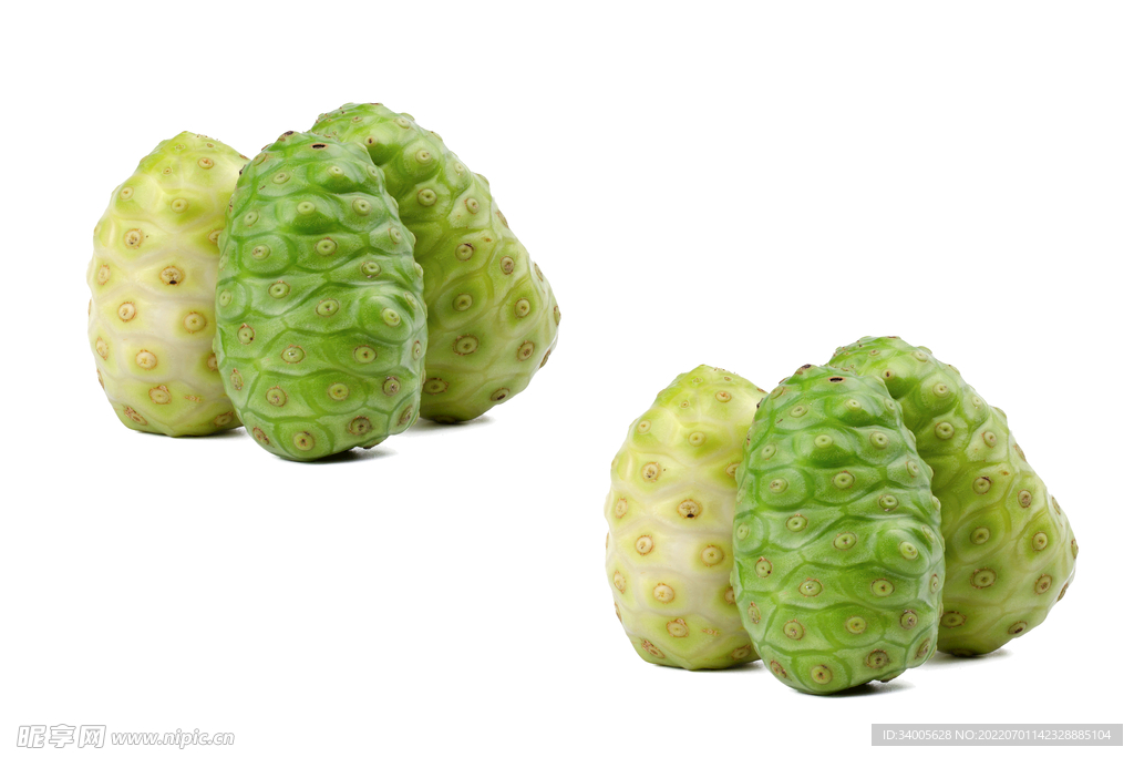 荠菜根