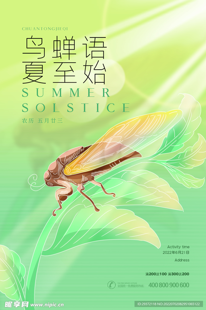 绿色二十四节气夏至鸟蝉语夏至始