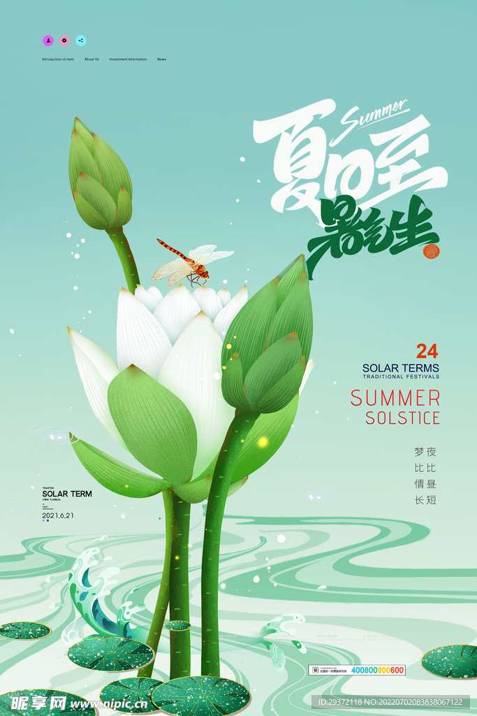 简约清新荷花24节气夏至海报