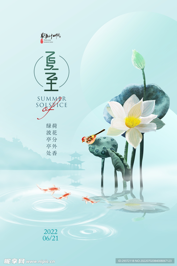 简约清新荷花夏至节气海报