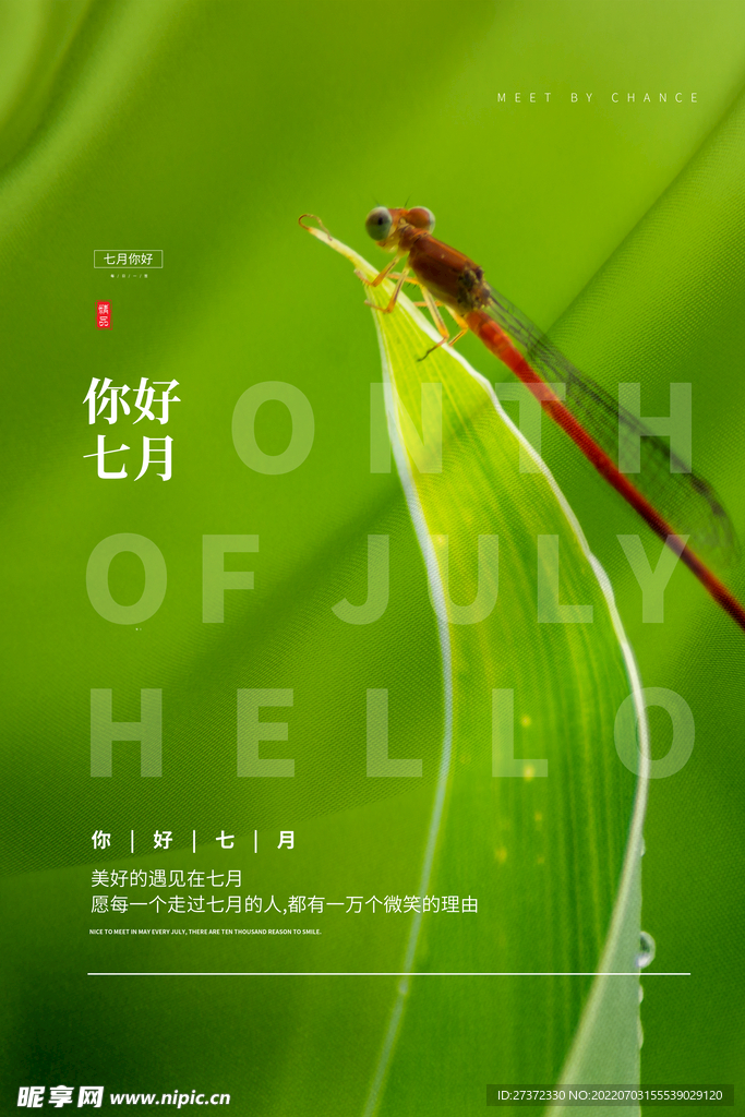 你好七月