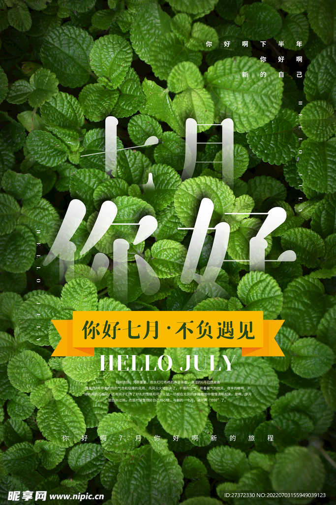 你好七月
