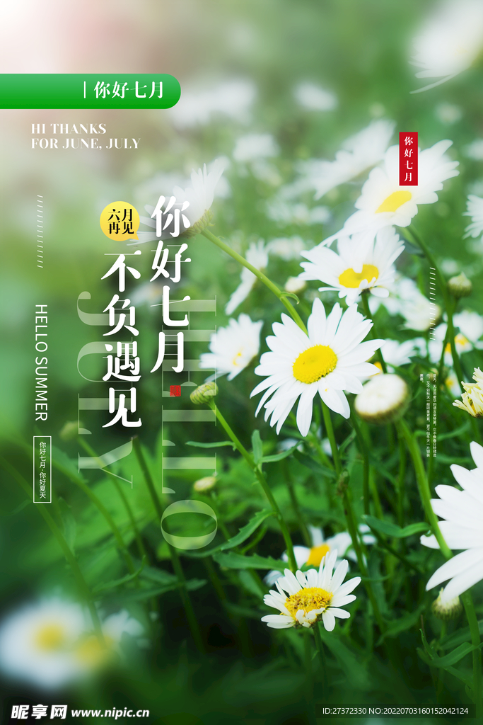 你好七月