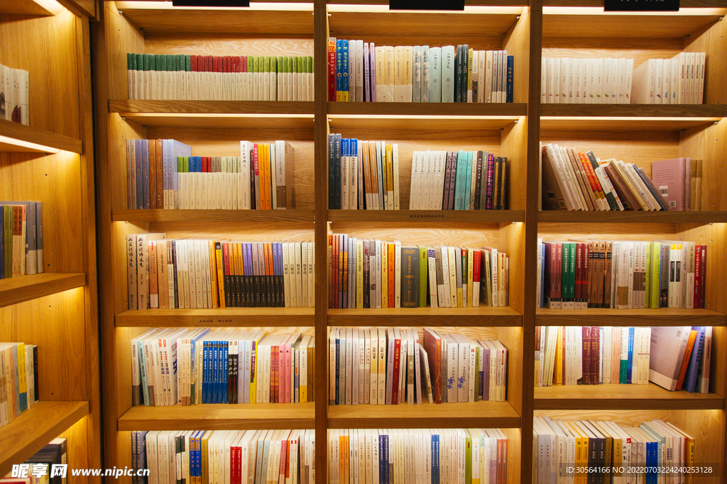 室内图书馆书架