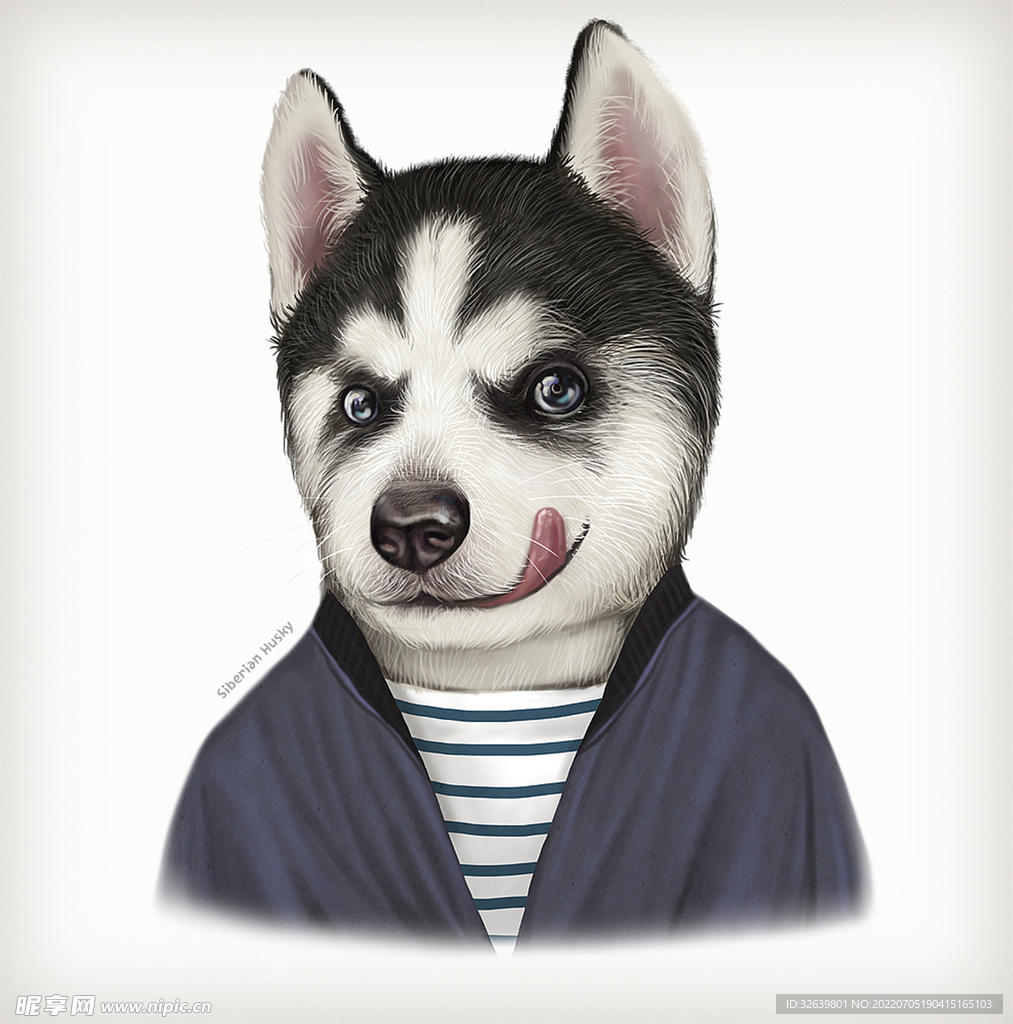 动物插画 狗的画像