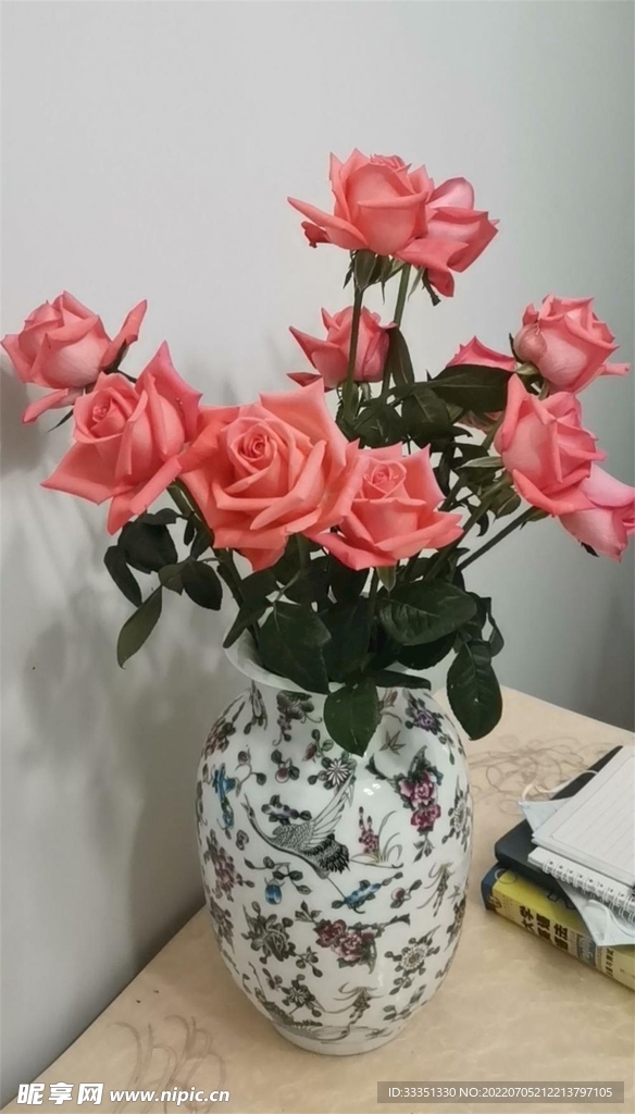 红色长寿花