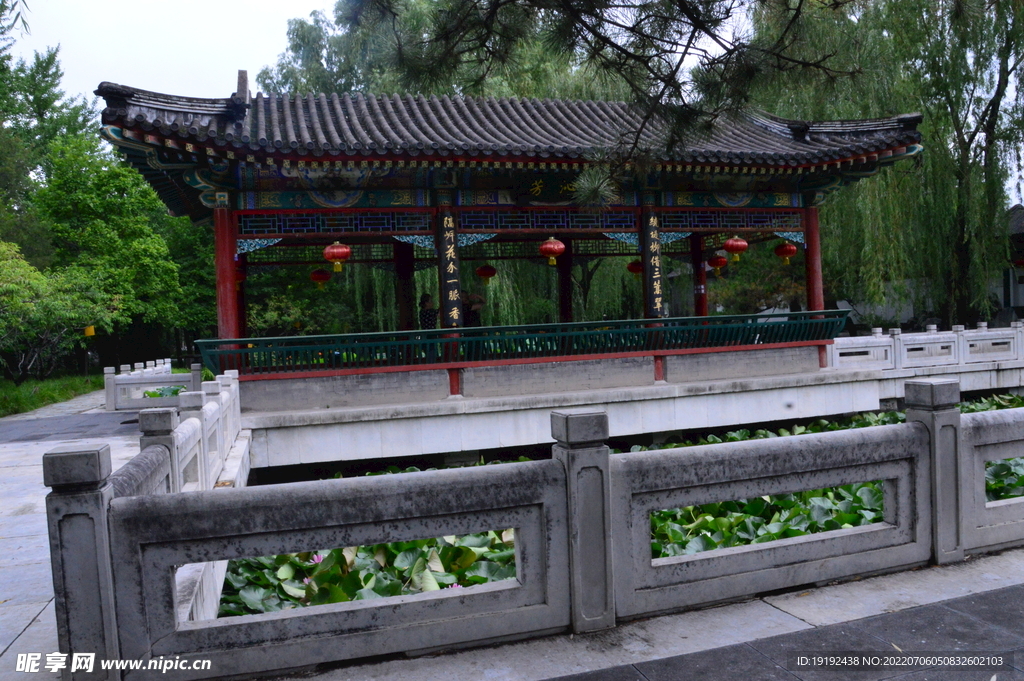 公园风景 