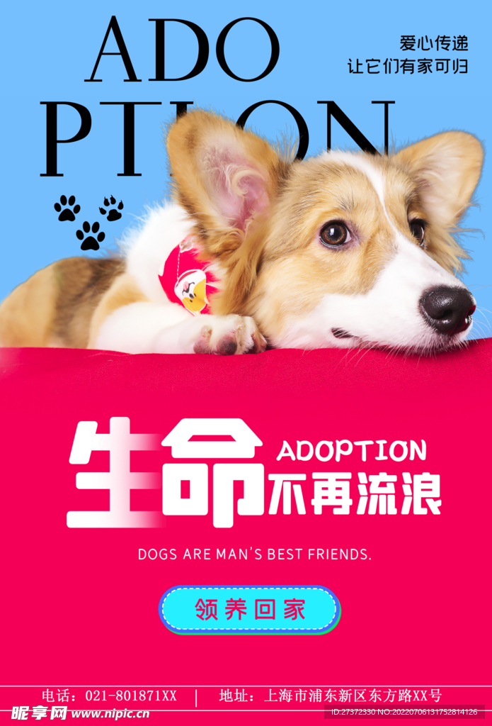 萌宠之家