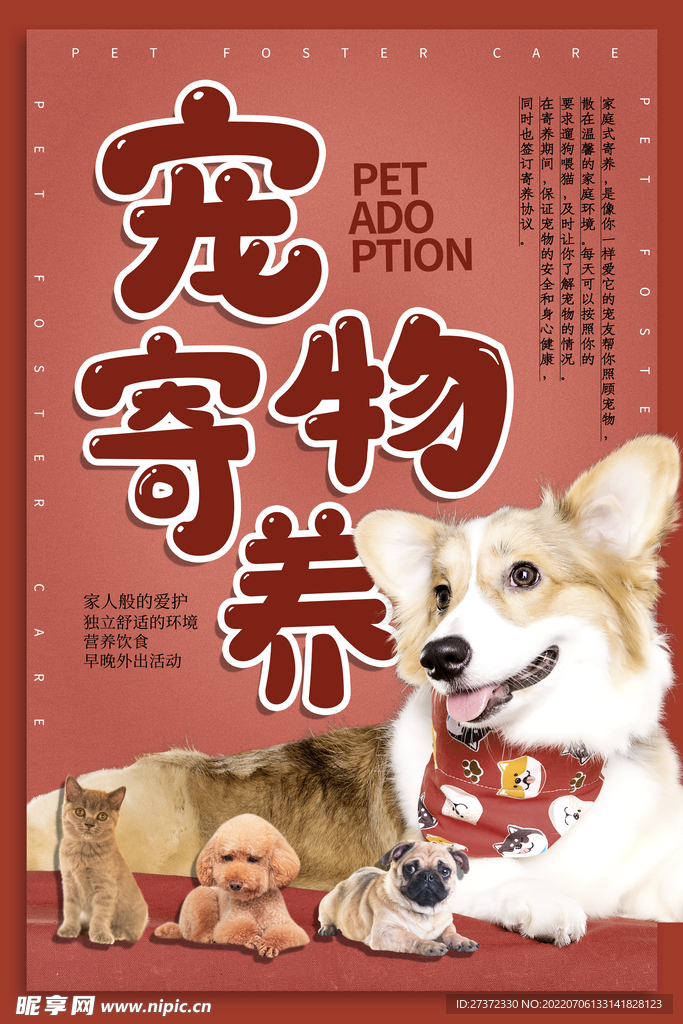 萌宠之家