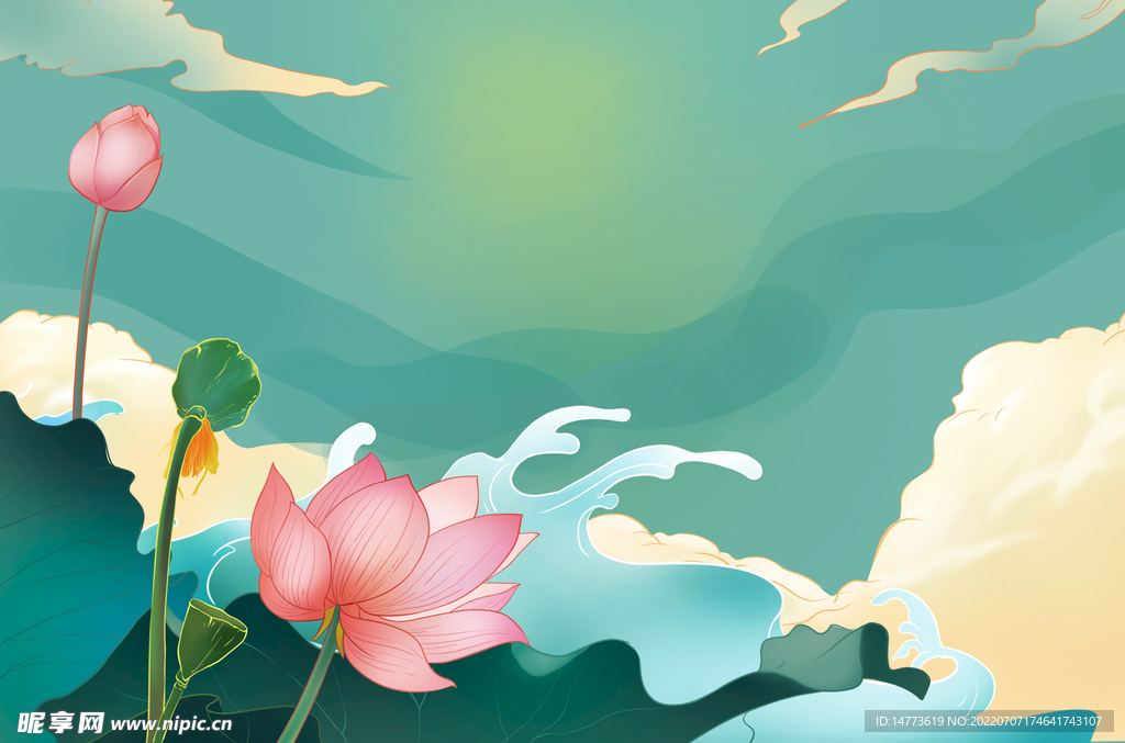 夏日荷花别样红