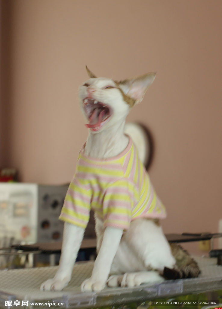 恐吓