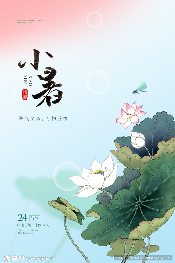 小暑海报