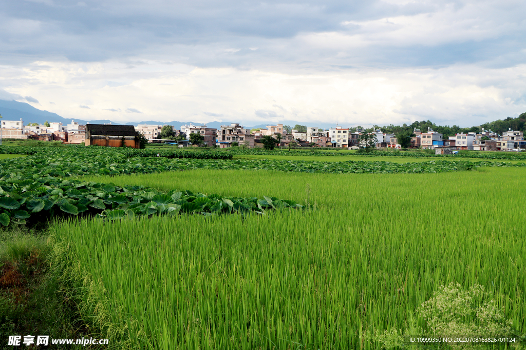 田园风光