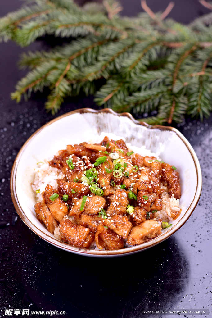照烧鸡肉饭