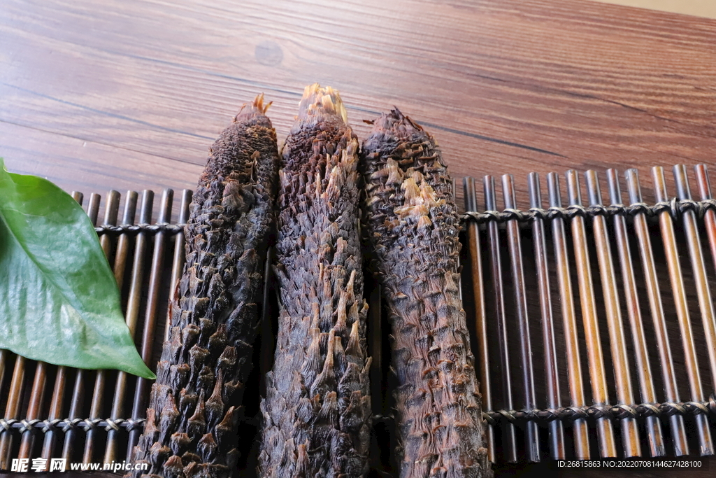 阿拉善肉苁蓉 大芸 